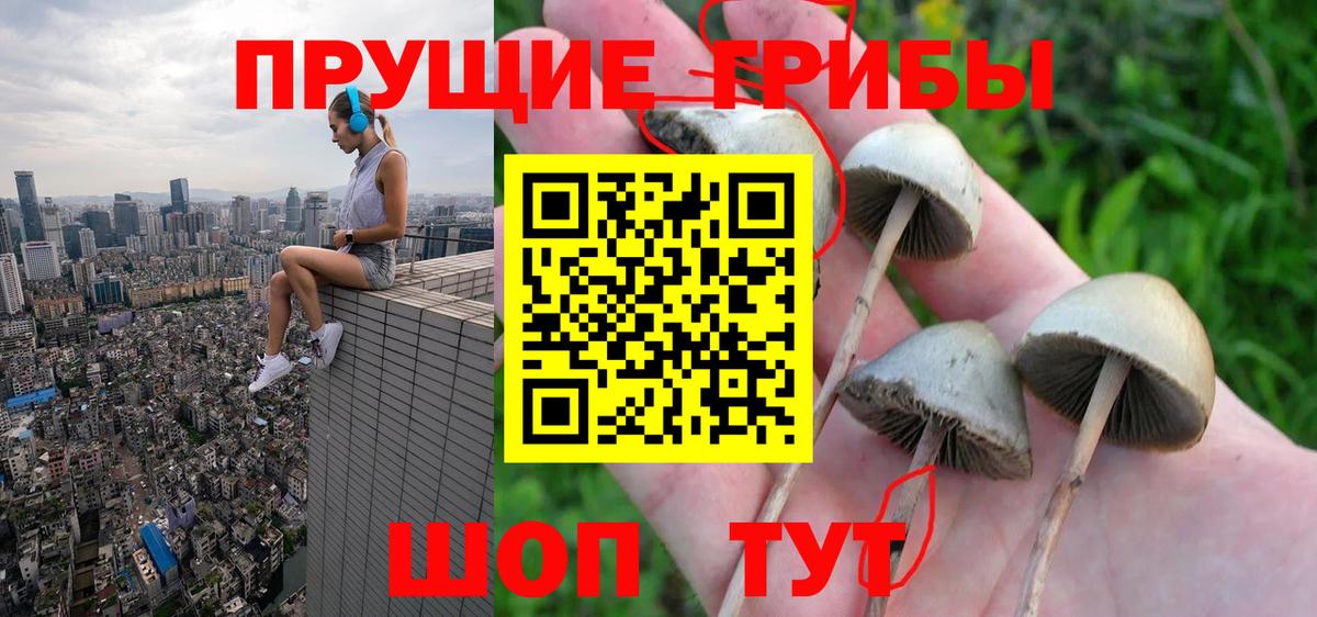 Еманжелинск  Галлюциногенные грибы GOLDEN TEACHER  Псилоцибиновые грибы Magic Shrooms  Вход с VPN 