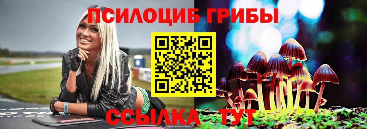 Галлюциногенные грибы Cubensis Еманжелинск
